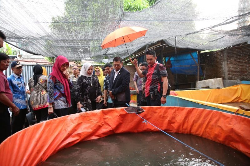 Diguyur Hujan Deras, Iqbal Tinjau Lokasi P2K3