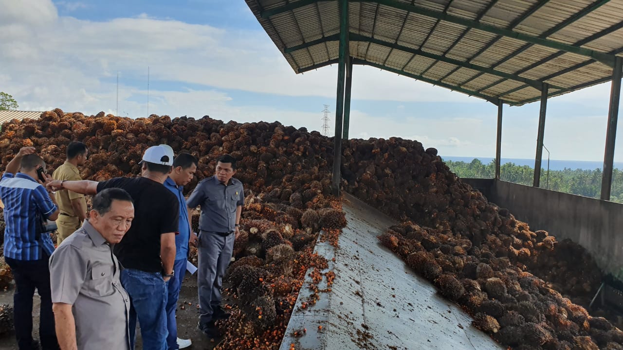 Komisi II DPRD Sulbar Saat Monev ke PT Arwana Sejahtera Pasangkayu