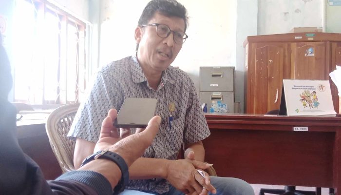 Kasus DBD di Mamuju Meningkat, Dinkes Harap Jaga Kebersihan Lingkungan