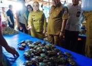 Kunjungi Pasar Murah, Pemkab Mamuju dan Pemprov Sulbar Sinergi Kendalikan Inflasi