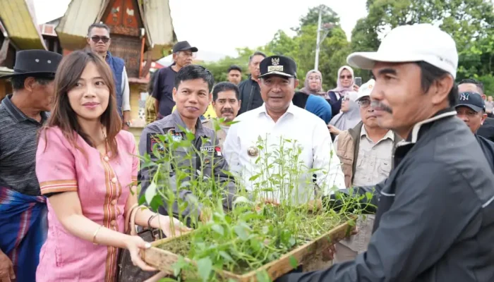 Warga Tabang Mamasa Rebutan Bibit dari Pemprov Sulbar