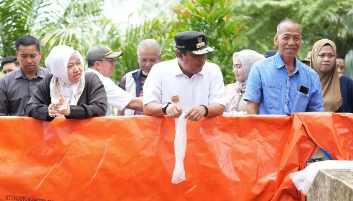 Ketua DPRD dan Pj Gubernur Sulbar Tebar Benih Ikan Nila di Tobadak