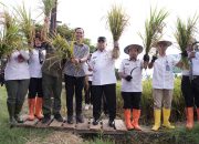 Stop Konflik Agraria! Wagub Sulbar Arahkan Alih Fungsi Lahan Sawit untuk Cetak Sawah Baru