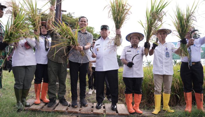Stop Konflik Agraria! Wagub Sulbar Arahkan Alih Fungsi Lahan Sawit untuk Cetak Sawah Baru