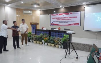 Percepatan Digitalisasi Keuangan Daerah, Pemprov Sulbar Luncurkan SP2D Online