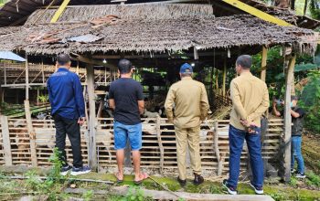SDK-JSM Salurkan Bantuan Kambing: Inspektorat Pastikan Tepat Sasaran
