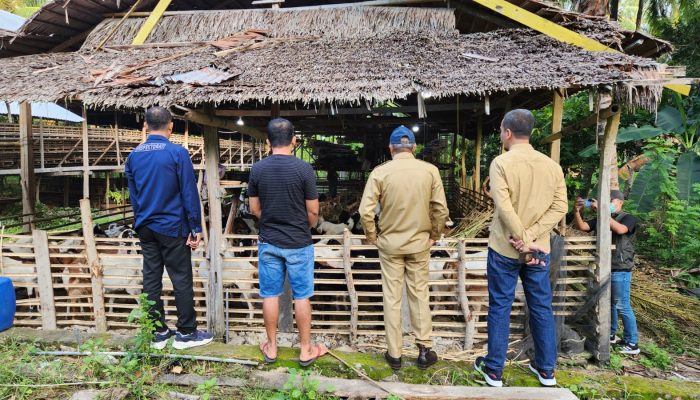 SDK-JSM Salurkan Bantuan Kambing: Inspektorat Pastikan Tepat Sasaran