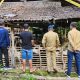 SDK-JSM Salurkan Bantuan Kambing: Inspektorat Pastikan Tepat Sasaran