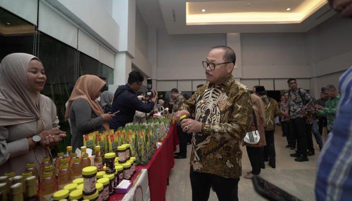 Ekspor Kakao hingga Ternak: Potensi Besar Lahan Transmigrasi Sulbar yang Belum Tergarap Maksimal