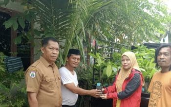 Rangkaian Festival Sandeq Teluk Mandar, Dinas Perkebunan Sulbar Salurkan Bantuan Benih Kakao